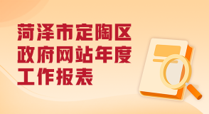 菏泽市定陶区政府网站年度工作报表