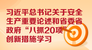 习近平总书记关于安全生产重要论述和省委省政府“八抓20项”创新措施学习